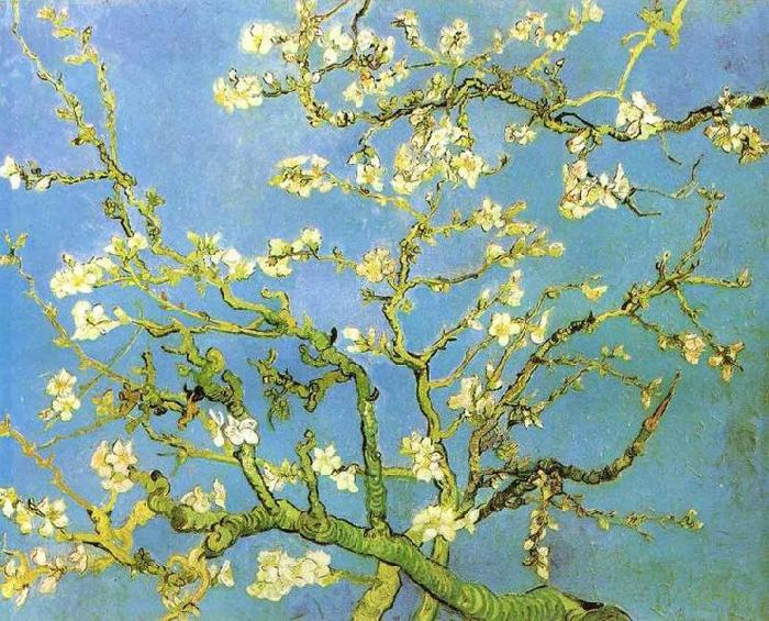 Vincent Van Gogh Blossomong Almond Tree oil painting picture